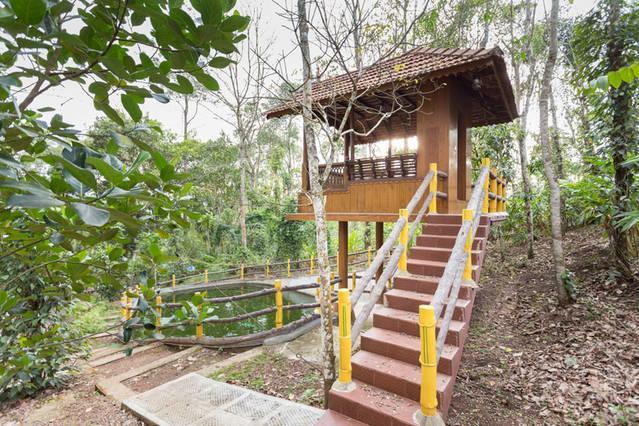 Kalppavanam Heritage Resort Thekkady Exteriér fotografie